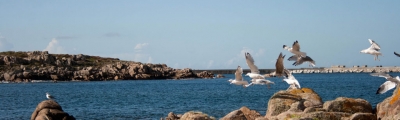 Sabadelle: Unha fiestra ao mar